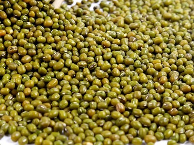 现货五谷杂粮绿豆 豆类粗粮散装当季新粮绿豆 农家产大粒绿豆批发图2