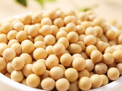 东北笨黄豆新黄豆农家自种黑龙江大豆生豆芽打豆浆450g图3