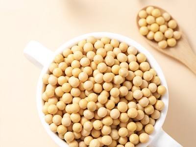 东北笨黄豆新黄豆农家自种黑龙江大豆生豆芽打豆浆450g图2