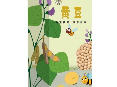东北笨黄豆新黄豆农家自种黑龙江大豆生豆芽打豆浆450g图1