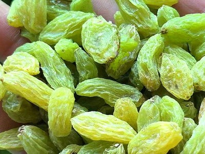 新疆绿提子葡萄干特级大量批发散装零食烘焙商用大颗粒无核提子干图4