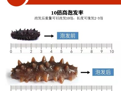 淡干海参特价小海参干货非野生大连辽刺参即食海参礼盒装直播代发图4