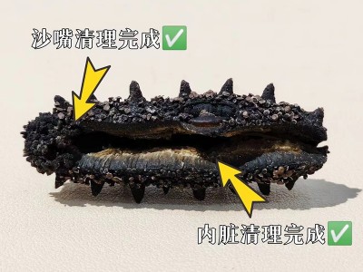 国标大连淡干干货海参50g批发食用厂家一手野生辽参礼盒 装包邮图3