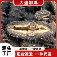 国标大连淡干干货海参50g批发食用厂家一手野生辽参礼盒 装包邮