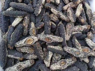 参半岛大连淡干海参国标海参非即食海参50g 500g礼盒装图3
