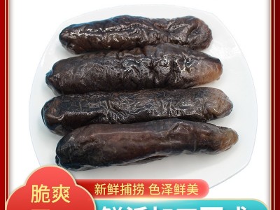 海参 即食鲜活淡干肉壁肥厚营养全面自然生长品牌级质量新鲜 海参图5