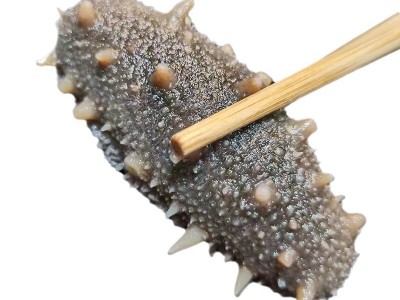 批发鲜食海参多种规格辽刺参鲜食海参批发鲜活海参 非干参500图5