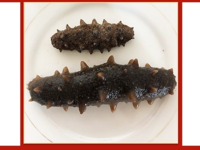 海参干货鲍鱼礼盒装速发非即食新鲜特产海鲜高档礼品送礼礼盒批发图3