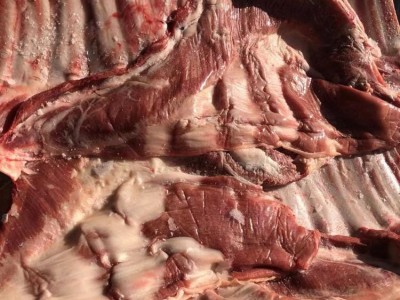 新西兰AFFCO 80厂羊排( 20KG) 进口羊肉批发图4