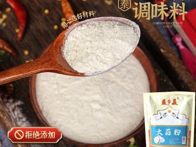 大蒜粉腌制烧烤调味料食用蒜香粉调料腌制蒜蓉粉烧烤复合调味料图2