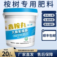 桉树专用肥料正品鑫桉丸懒人桉树肥杨树缓释肥省工省时大力丸