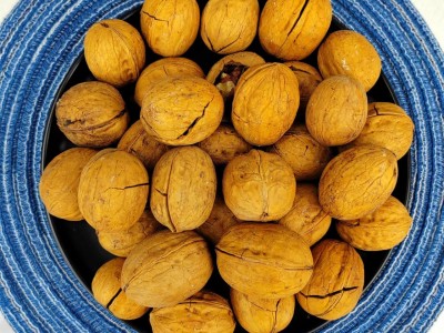 核桃薄皮2022新货纸皮草本味孕妇食品新疆烤核桃奶香咸味熟核桃图4