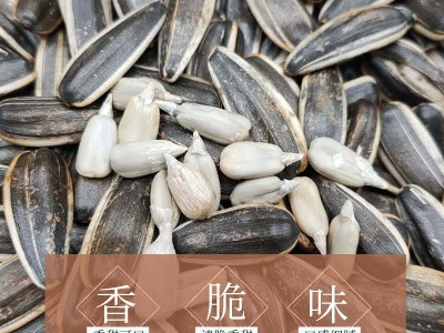 干炒瓜子内蒙大瓜子原味散货葵花籽250克图3