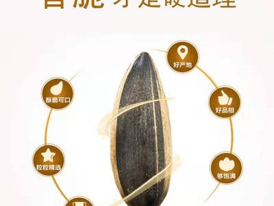干炒瓜子内蒙大瓜子原味散货葵花籽250克图4