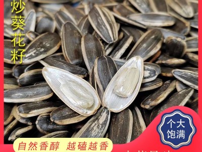 干炒瓜子内蒙大瓜子原味散货葵花籽250克图1