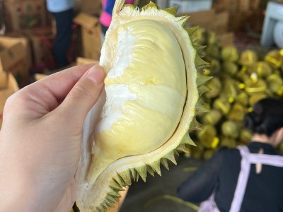 卓恬园 泰国金枕榴莲 应季新鲜时令香甜软糯热带水果 核小肉多图4