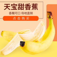 福建漳州天宝精品香蕉农家现摘当季无公害新鲜水果香蕉banana