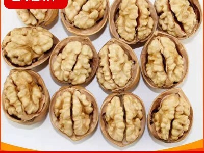 当季新货新疆特产阿克苏核桃散装薄皮大核桃薄皮新核桃一件代发图2