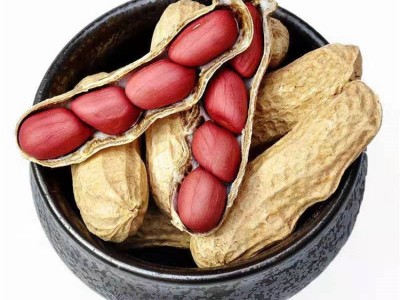 当季新货四粒红皮花生带壳晒干生四粒红农家新货四粒红花生图4