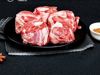 宁夏滩羊肉珍味之敬礼盒哪有买 羊礼记图3