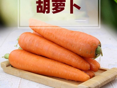带泥新鲜胡萝卜 山东生吃蔬菜脆甜沙窝水果红萝卜宝宝辅食5斤图4