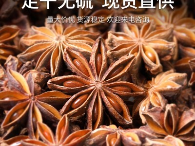 广西八角大红八角调味品香料大全新货八角香辛料卤料大料大茴香图2