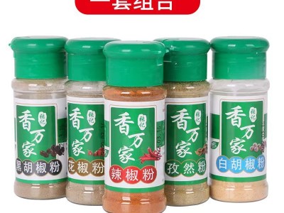 工厂批发烧烤料组合套装小吃串串火锅蘸料胡椒粉家用烧烤组合套装图2