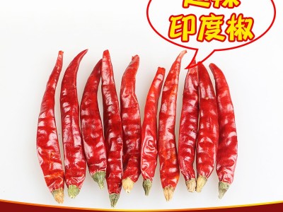 印度魔鬼辣椒500g干货干辣椒超辣特辣可打辣椒粉变态辣辣椒面批发图2