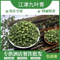 花椒粒批发青花椒重庆江津九叶青花椒500g藤椒 水煮鱼麻辣鱼