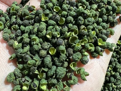花椒粒批发青花椒重庆江津九叶青花椒500g藤椒 水煮鱼麻辣鱼图3