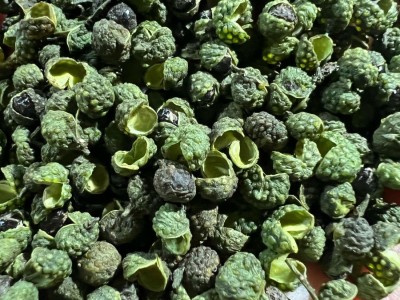 花椒粒批发青花椒重庆江津九叶青花椒500g藤椒 水煮鱼麻辣鱼图4