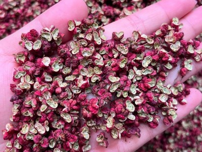 四川花椒茂汶红花椒 500g花椒粒批发 茂汶大红袍火锅花椒干花椒图3