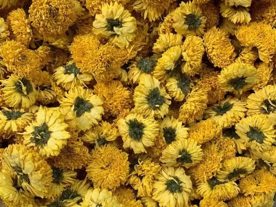 新婺源散装批发皇菊菊花菊花茶黄菊桃菊球菊乒乓球菊一朵一批大货图2