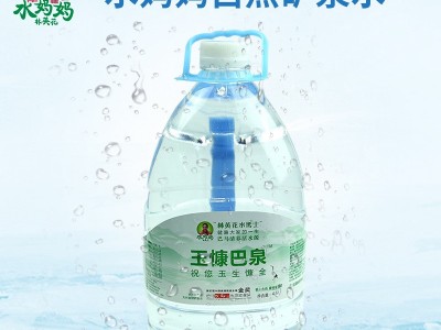 水妈妈玉慷巴泉桶装水 自然富锶型矿泉 水 4.5L桶装整箱批发图2