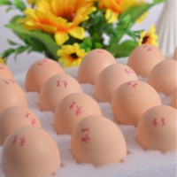 参皇优品土鸡蛋20枚新鲜发货鸡蛋批发一件代发广西土鸡蛋厂家直供
