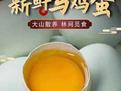 大码绿壳乌鸡蛋批发农家林间散养虫草五谷鸡蛋 产地直发免费喷码图1