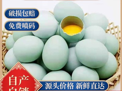 大码绿壳乌鸡蛋批发农家林间散养虫草五谷鸡蛋 产地直发免费喷码图2