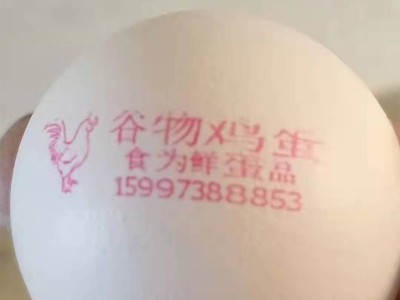 批发五谷鸡蛋，散养土鸡蛋，虫草鸡蛋产地直发免费logo喷码图4