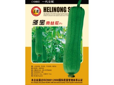 和利农多宝肉丝瓜种子丝瓜种籽四季春秋杂交早熟高产蔬菜丝瓜种孑图5
