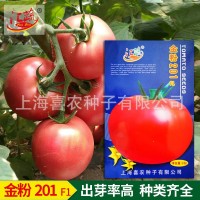 金粉201粉果番茄西红柿蔬菜种子 大棚阳台庭院盆栽果蔬种子批发