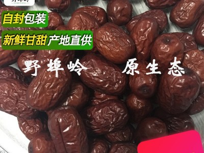 促销 满额包邮特产 沂蒙山大红枣 干枣 大红枣 金丝枣 500克图3