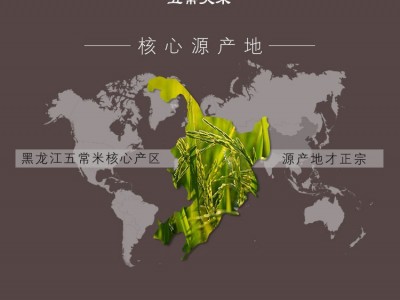 金龙鱼原香稻5kg五常大米稻花香2号图3