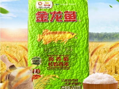 金龙鱼清香稻长粒香大米500g图3