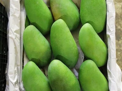 广西大金煌芒大青芒芒果当季水果芒果现摘现发一件代发图2