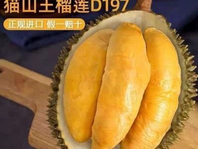 猫山王榴莲 (D197)马来西亚进口带壳榴莲新鲜肉液氮冷冻顺丰批发图2