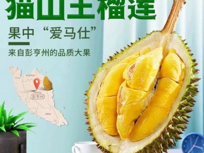 猫山王榴莲 (D197)马来西亚进口带壳榴莲新鲜肉液氮冷冻顺丰批发图4