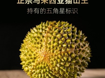 猫山王榴莲 (D197)马来西亚进口带壳榴莲新鲜肉液氮冷冻顺丰批发图3