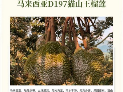 马来西亚猫山王榴莲带壳d197榴莲果肉批发正宗进口水果顺丰包邮图3