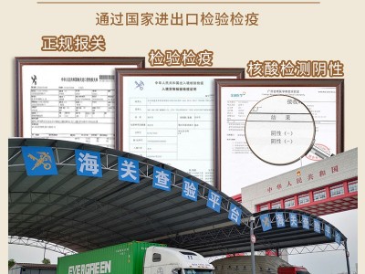 越南腰果进口大量批发整箱生腰果仁特产白果原味W180炒货散装干果图3