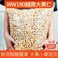 越南腰果进口大量批发整箱生腰果仁特产白果原味W180炒货散装干果